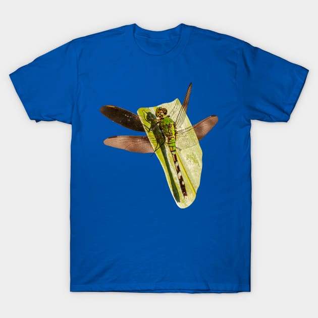 Dragonfly on a leaf T-Shirt by dalyndigaital2@gmail.com